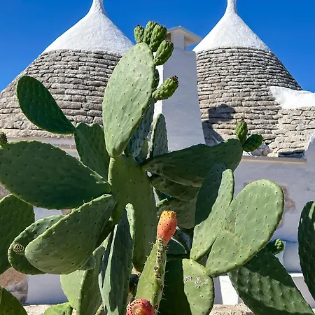 Almapulia I Trulli Ceglie Messapica